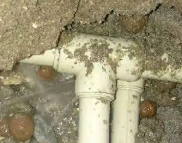 莘县测漏水多少钱