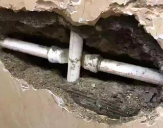 莘县测漏水哪家好