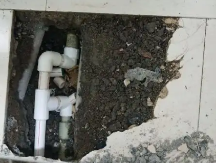 莘县测漏水哪家好