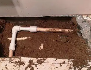 莘县测漏水哪家好