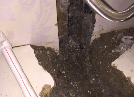 莘县卫生间测漏水哪家好