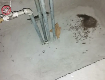 莘县卫生间测漏水价格明细